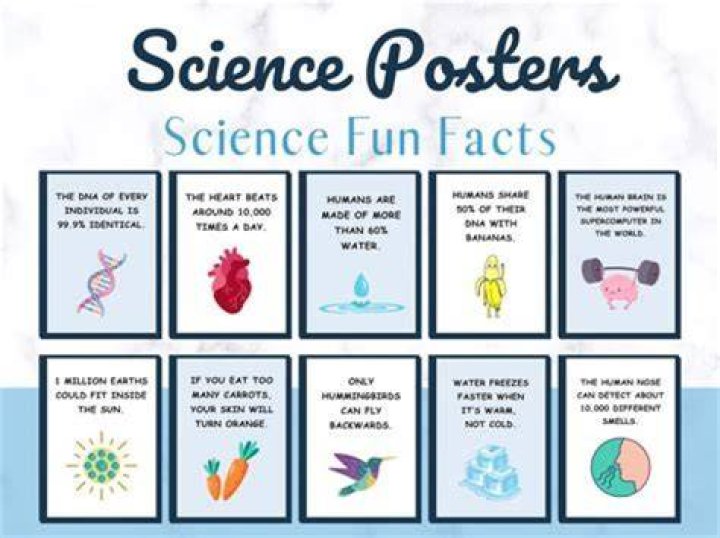 12 key facts you need to know