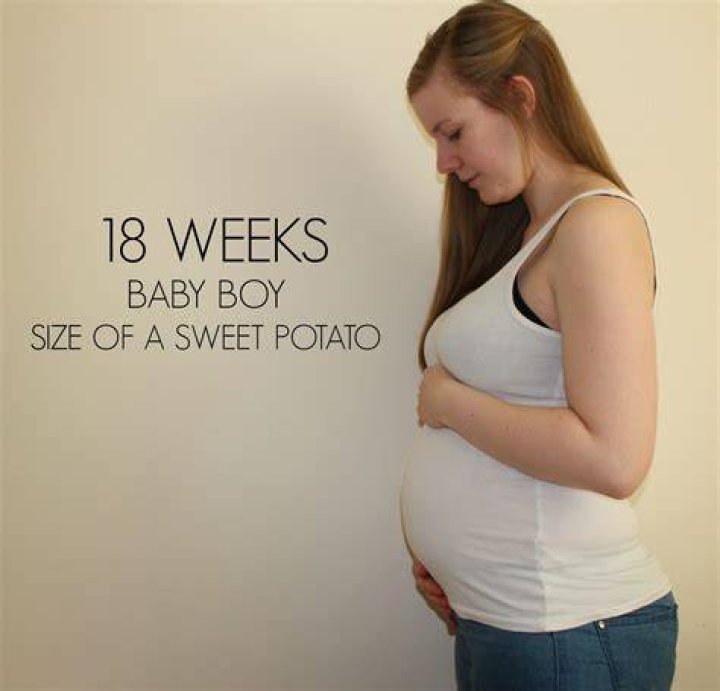18 Week Pregnancy Update Baby 2 Emily and Indiana