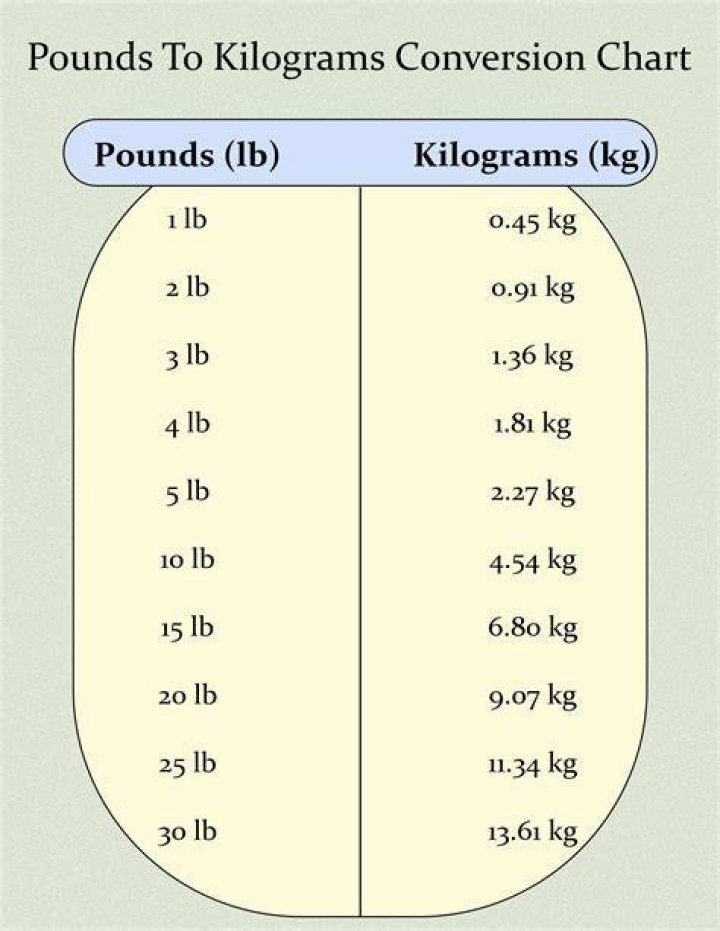 2.9 Pounds To Kilograms Converter