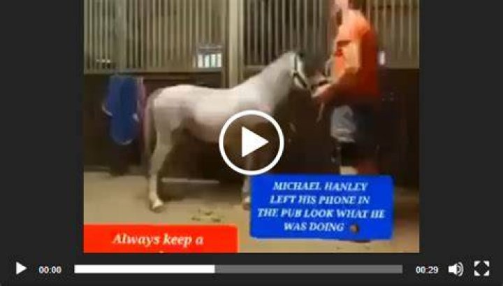 "2 Guys One Horse" And Its Profound Impact