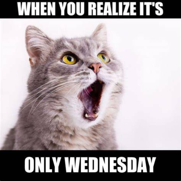 25 Funny Wednesday Memes & Quotes To Get You Through The Rest Of The