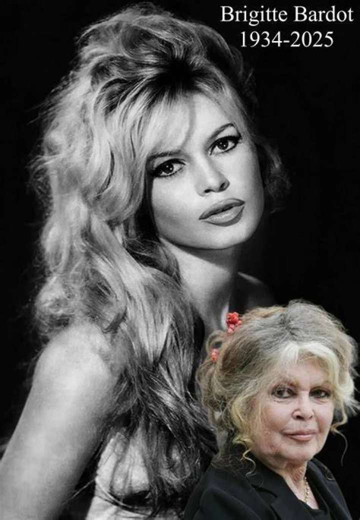 28 best images about Brigitte Bardotals moeder on Pinterest