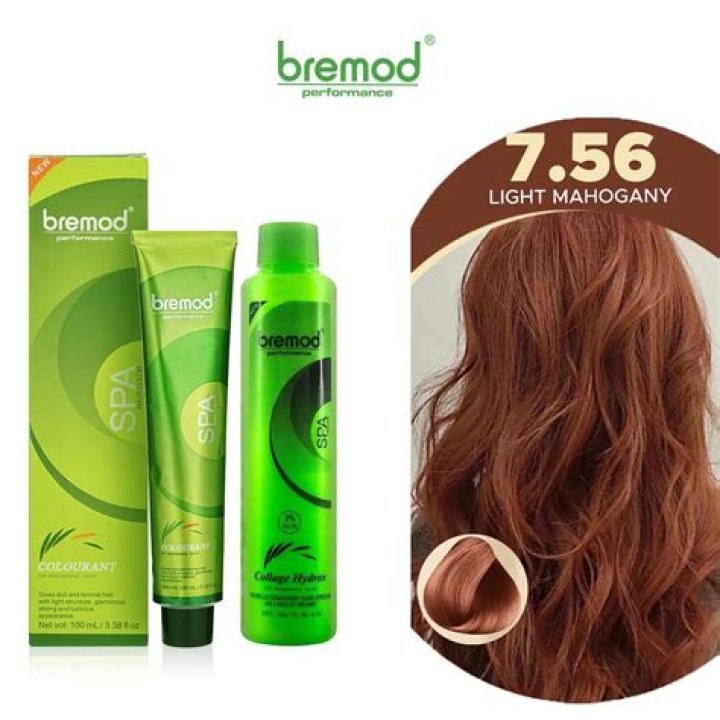 5.0 LIGHT BROWN_BREMOD PERFORMANCE HAIR COLOR (NO OXI) Shopee Philippines