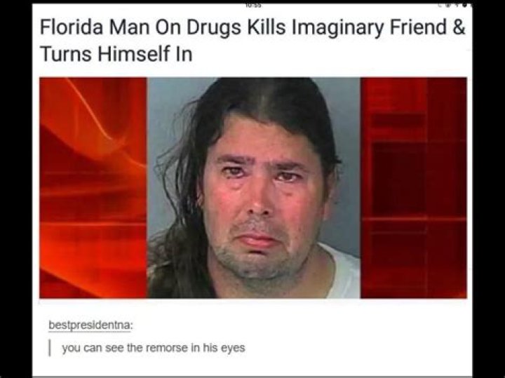 50 WTF Florida Man Memes and Headlines to Feed Your Pool Gators Funny