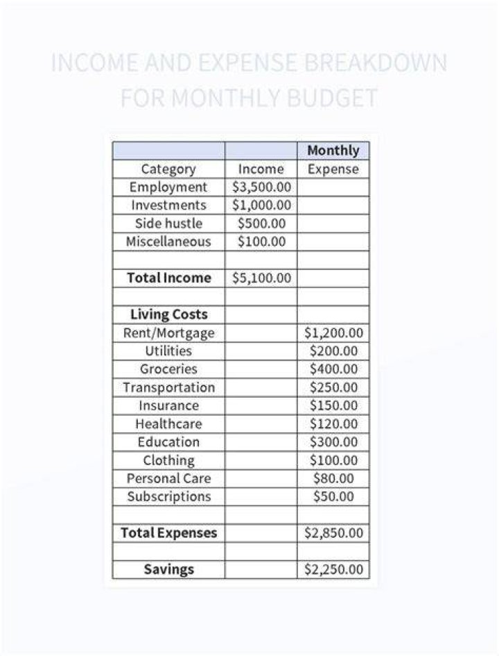 A Breakdown of His Income, Expenses, and Assets