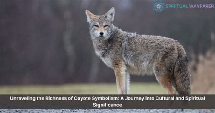 A Haunting Journey Into Cultural Symbolism
