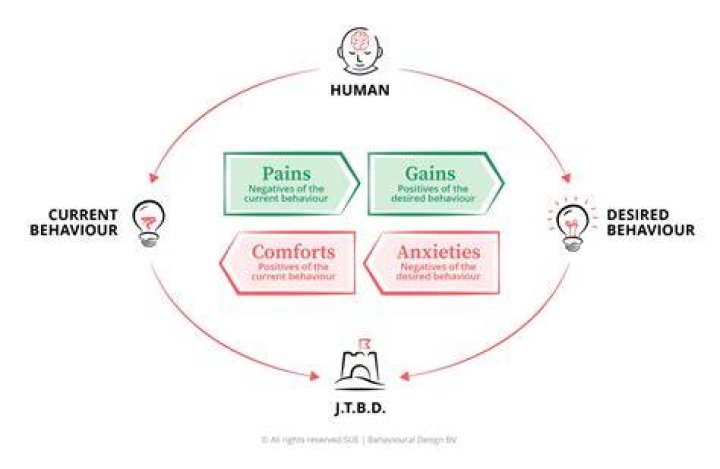 A Journey Of Influence And Insights
