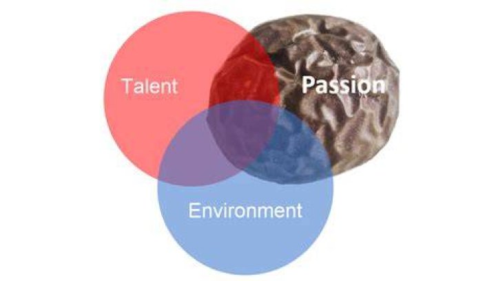 A Journey Of Talent And Passion