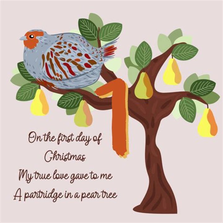 A partridge in a pear tree Behance