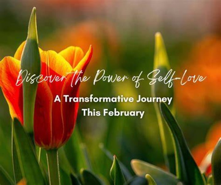 A Transformative Journey Of Love And Growth