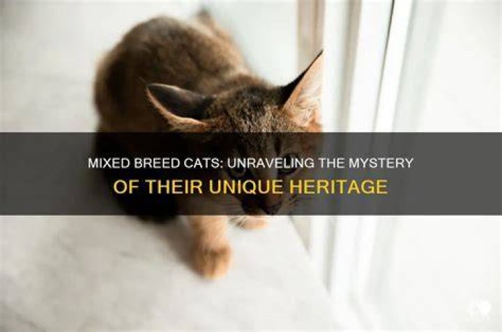 A Unique Breed, A Rich Heritage