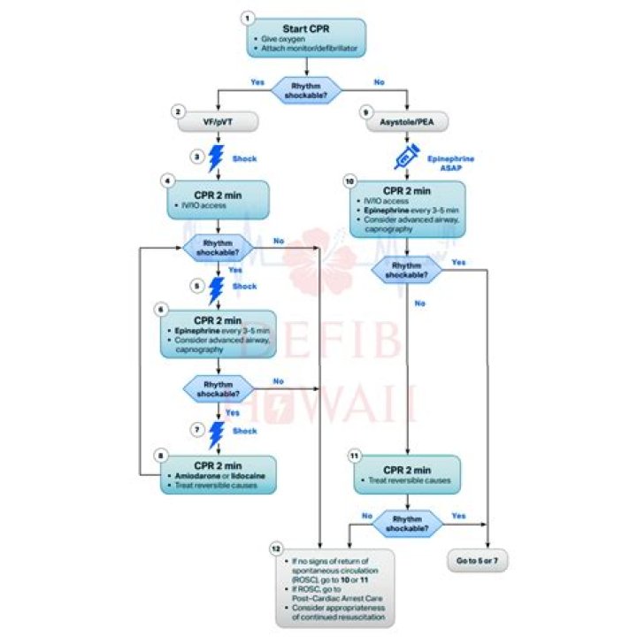 Acls CPR Healthcare Providers INC