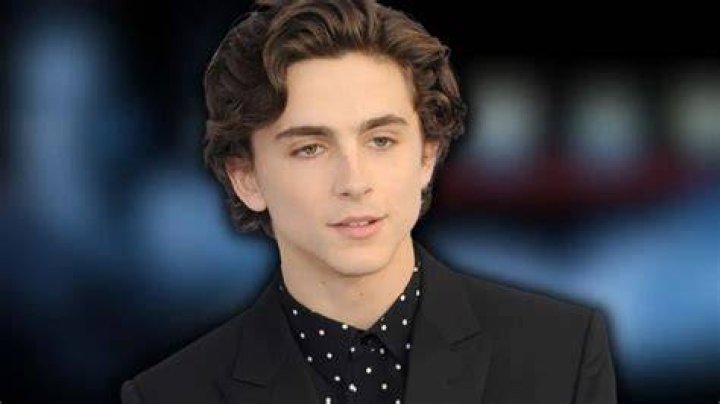 All About Timoth&eacute;e Chalamet's Parents, Marc Chalamet and Nicole Flender