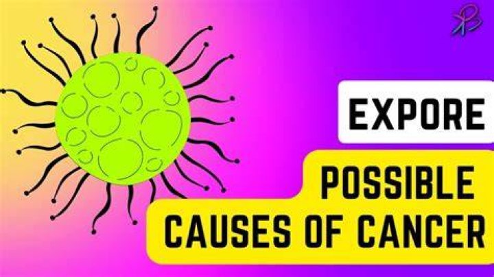 An Exploration Of Possible Causes