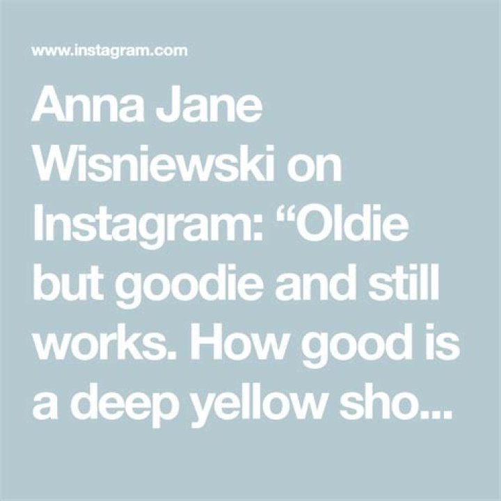 Anna Jane Wisniewski on Instagram “I bought my first shopclarev bag