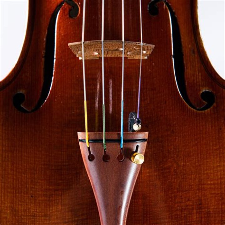 Are Evah Pirazzi strings worth?