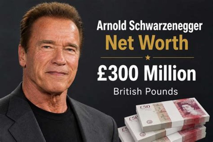 Arnold Schwarzenegger Net Worth Wealthy Genius