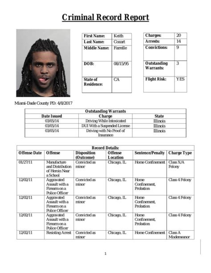 Arrest Record Template Layout Record Of Arrest Police File Arrest