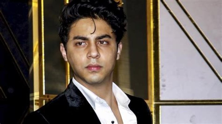 Aryan Khan to launch vodka brand in India, partners with world's