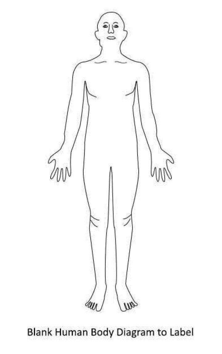 Blank Autopsy Diagram