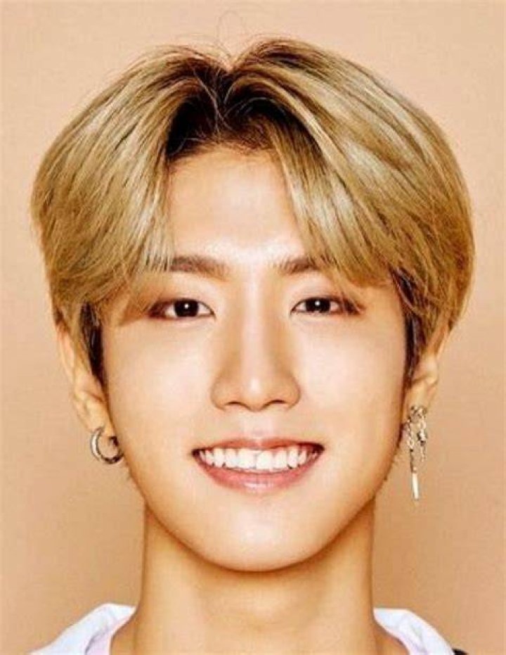 BlogPaper | Han Jisung - Bio, Age, Net Worth, Height, Single, Nationality, Body Measurement, Career