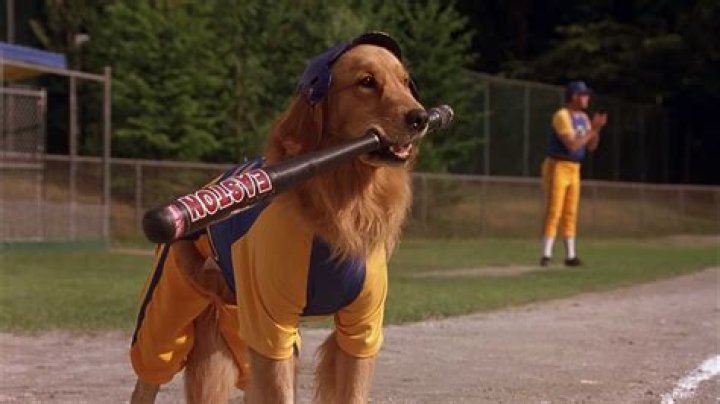 Bud on the Side (1997)