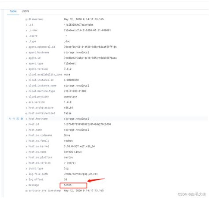 Can Filebeat read csv file?