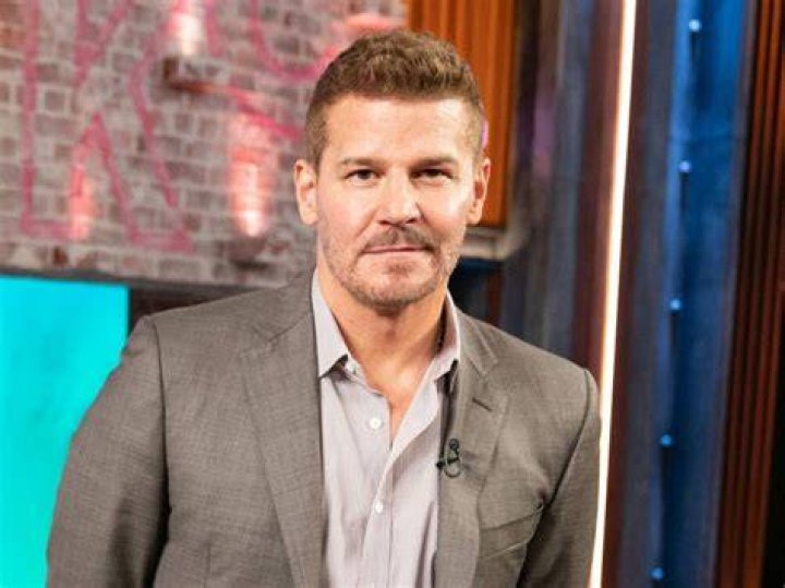 David Boreanaz David Boreanaz speaking at the 2012 San Die&hellip; Flickr