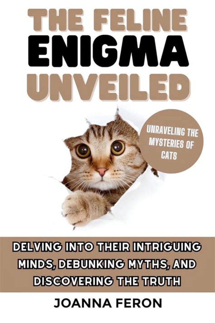 Delving Into The Nuggets-to-Ounces Enigma