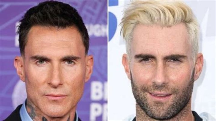 Did Adam Levine Go To Blake Shelton And Gwen Stefani's Wedding?