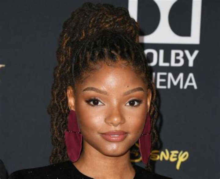 Did Halle Bailey Undergo Plastic Surgery Including Boob Job, Nose Job