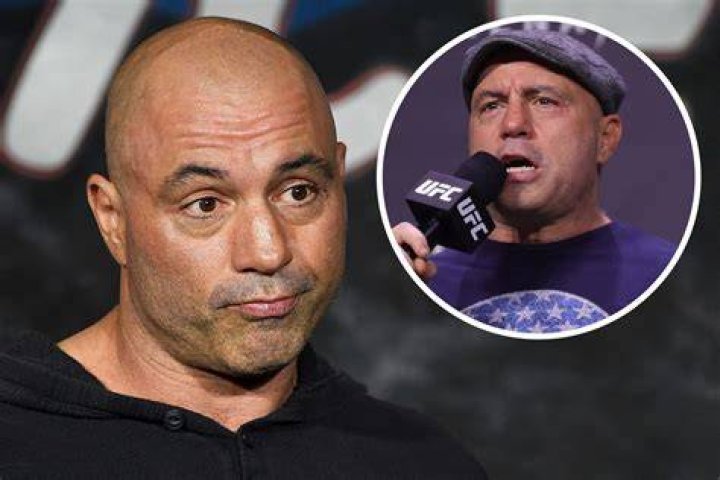 Did Joe Rogan pass a controversial remark about homeless people?