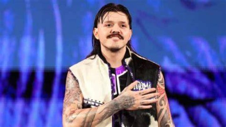Did WWE star Dominik Mysterio marry Rhea Ripley?