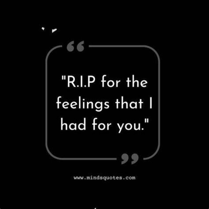 Discover The Impact And Avoidance Of "Insults Breakup Savage Quotes For Ex"