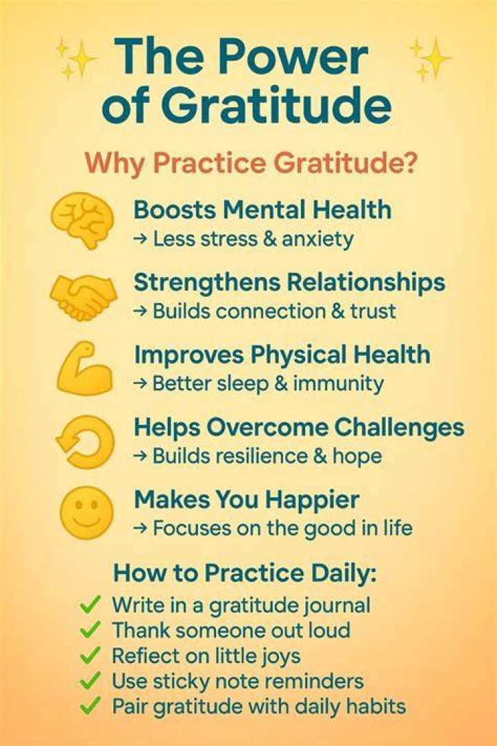 Discover The Power Of Gratitude
