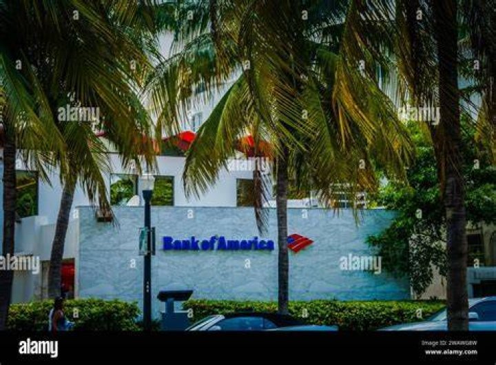 Discover The Secrets Of Bank Of America's Captivating Commercials
