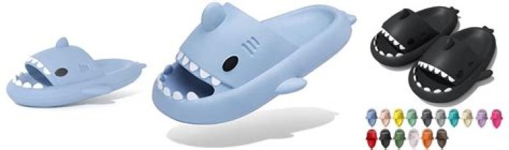Discover The Ultimate Guide To Shark Slides