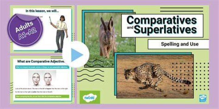 Discover The Ultimate Superlatives For Adults