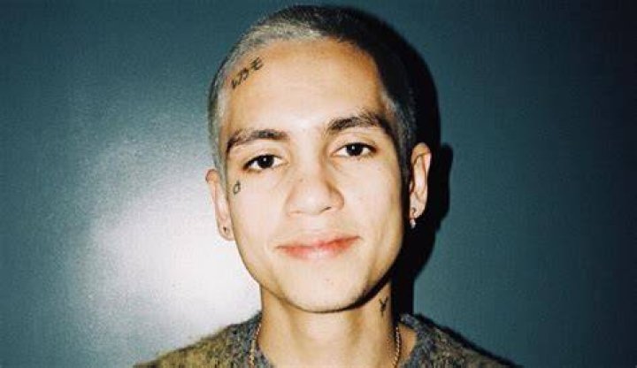 Discover The Untold Story Behind Dominic Fike's Rise To Fame