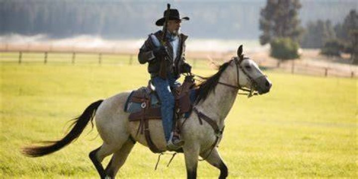 Discoveries And Insights From "Yellowstone"