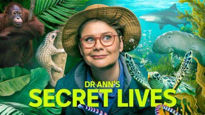 Discoveries And Insights Into "Is Dr. Ann Jones Married"?