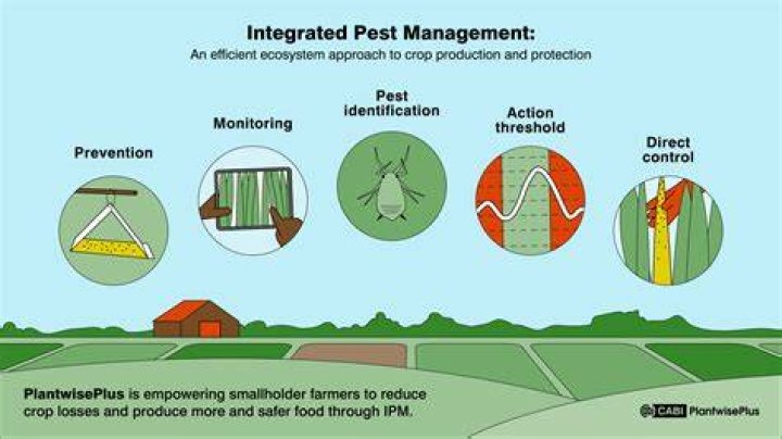 Discoveries That Transform Pest Management