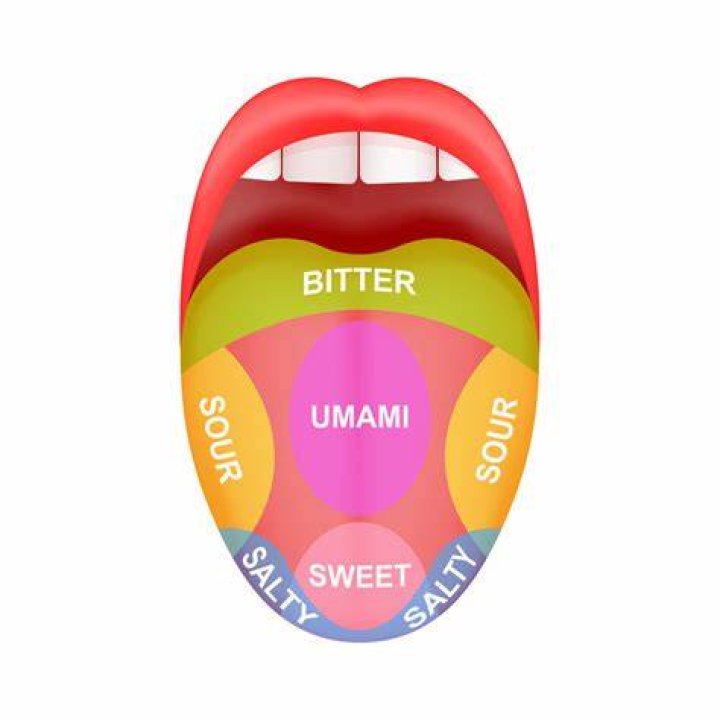 Do lips have taste? - BlogInfo