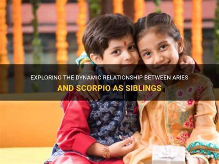 Do Scorpio siblings get along?