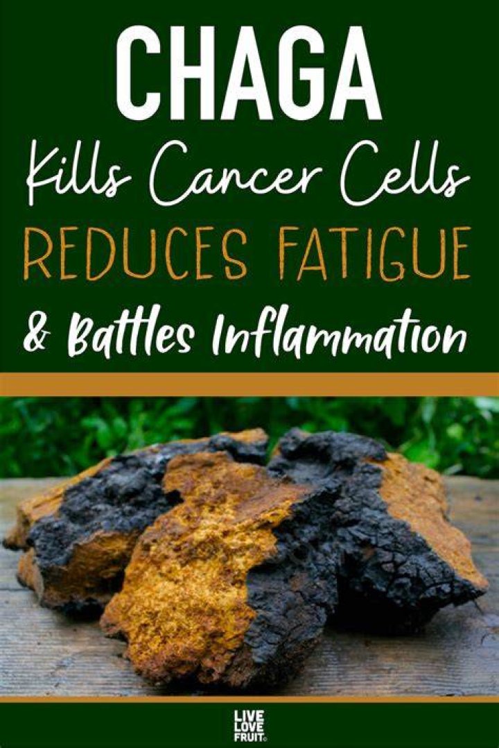 Does chaga interact with medications?