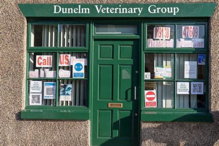 dogxray Dunelm Veterinary Group