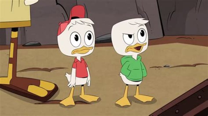 Ducktales S01E10 Hindi Dubbed 72op vlc record 2019 02 15 22h34m38s