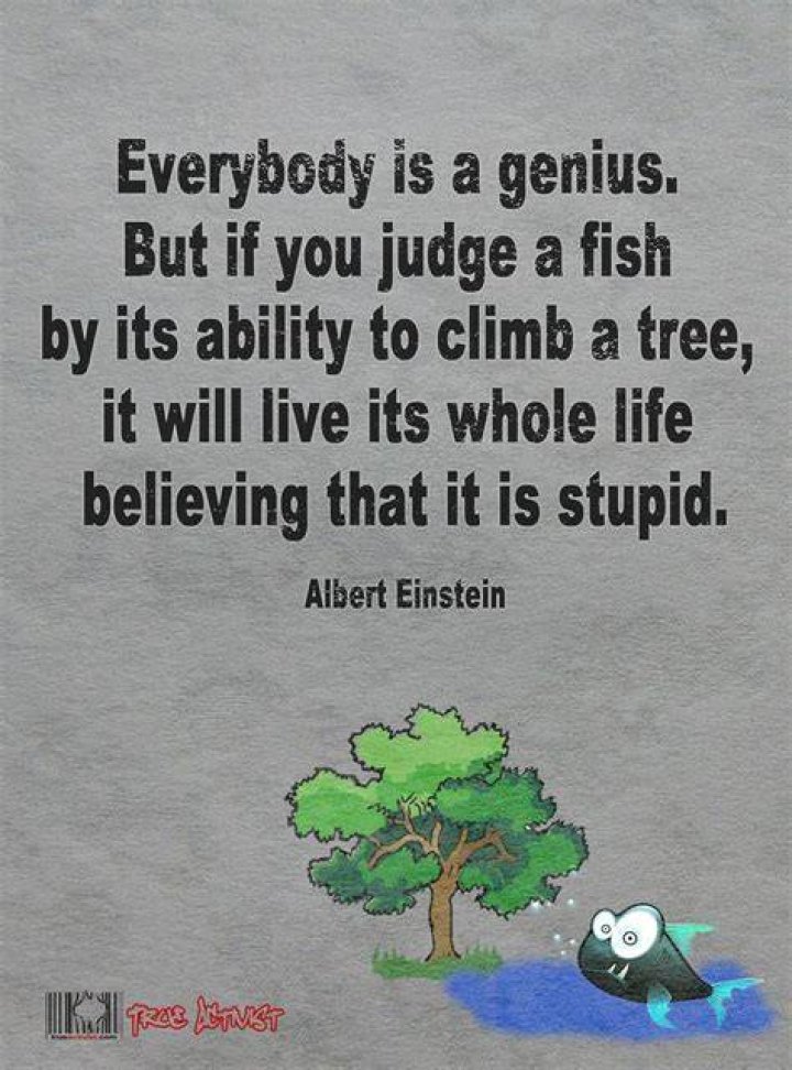 Einstein Everybody is a genius… Live by quotes