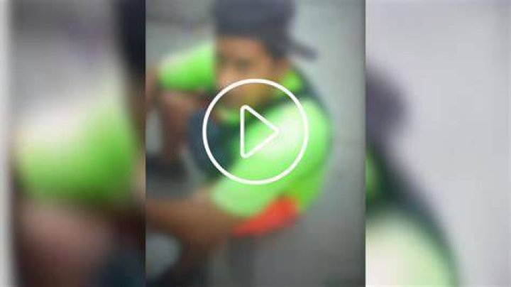El Patrn Real: Viral Video Sensation!