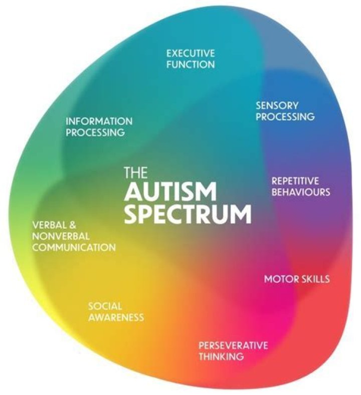 Elizabeth Holmes And The Spectrum Of Autism